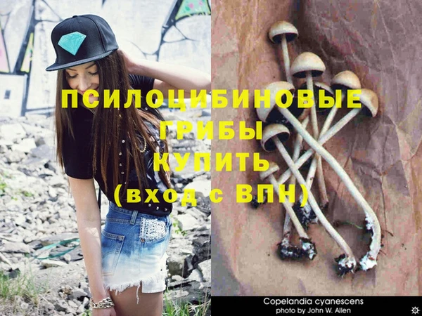 прущая мука Алзамай
