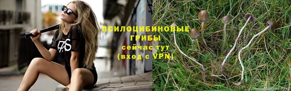 твердый Алексеевка