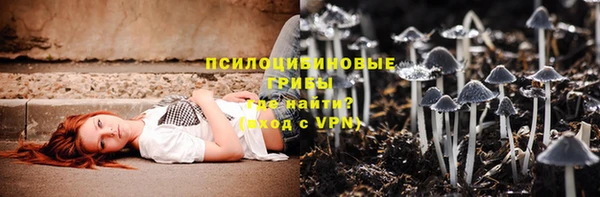 героин Алексин
