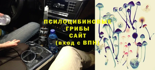 прущая мука Алзамай