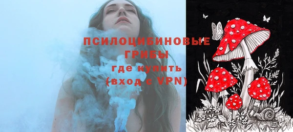 прущая мука Алзамай